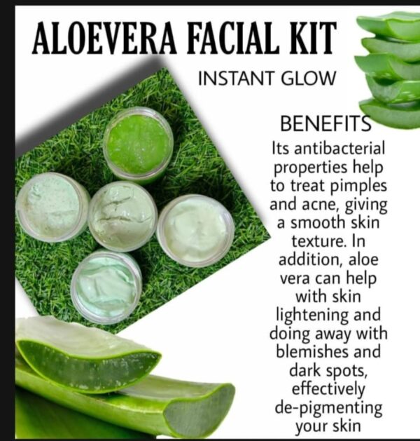 Alovera Facial Kit